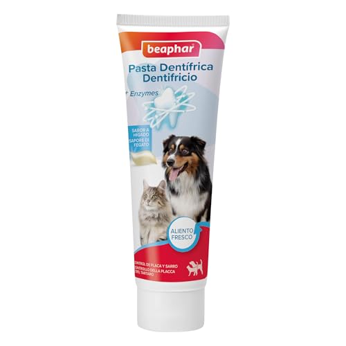 Bayphar Zahnteig Hund und Katze 100g, Schwarz, Standard, BEA15684 von Beaphar