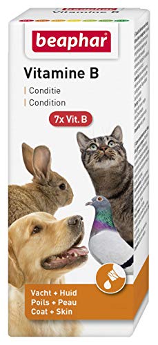 Beaphar 11651 Beaphar Vitamin B 50ml von Beaphar