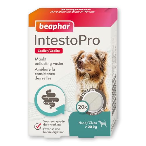 Beaphar 14127 IntestoPro Hund ab 20kg von Beaphar