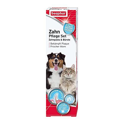 BEAPHAR - Zahnpflege Set Für Hunde Und Katzen - Doppelkopfzahnbürste Und Zahnpasta - Bekämpft Plaque Und Zahnstein - Mit Leber-Geschmack - Ohne Fluoride - Set mit 1 Zahnbürste + 100 g Zahnpasta von beaphar