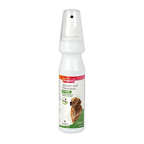 BEAPHAR - Zecken- Und Flohschutz Spray Für Hunde Ab 12 Wochen - Sofortwirkung - 7 Tage Schutz Vor Zecken, Flöhen und Mücken - Sofortschutz - Einfach Aufsprühen und Hund Schützen - 150 ml BEAPHAR - Zecken- Und Flohschutz Spray Für Hunde Ab 12 Wochen - Sofortwirkung - 7 Tage Schutz Vor Zecken, Flöhen und Mücken - Sofortschutz - Einfach Aufsprühen und Hund Schützen - 150 ml von beaphar