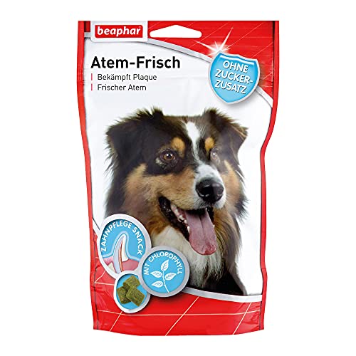 Beaphar Atem-Frisch, 1er Pack (1 x 100 g) von Beaphar
