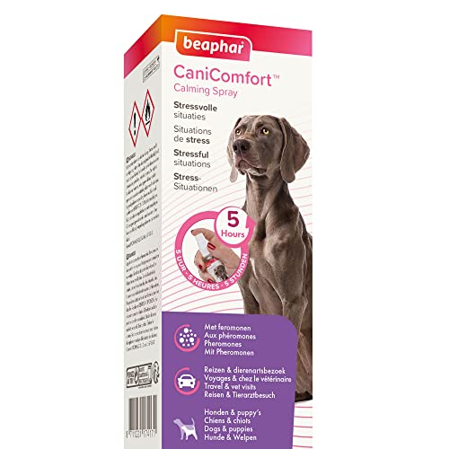 beaphar CaniComfort Wohlfühl-Spray, Beruhigungsmittel für Hunde mit Pheromonen, 60 ml von beaphar