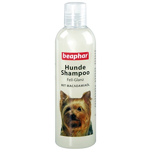 BEAPHAR - Hundeshampoo Fell-Glanz - Für Alle Hunderassen - Hautfreundlich - Mit Macadamiaöl Und Aloe Vera - Ph-Neutral - 0% Parabene - Frischer Duft - Vegan - 250 ml von beaphar