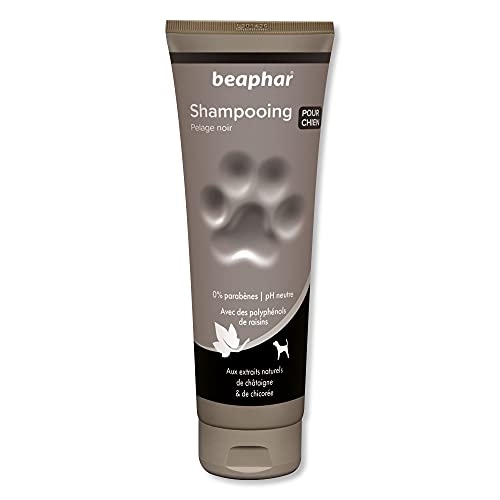 Beaphar Shampoo Hohe kosmetische Hunde Schwarzes oder dunkles Haar, eine Größe 250 ml 250 ml von Beaphar