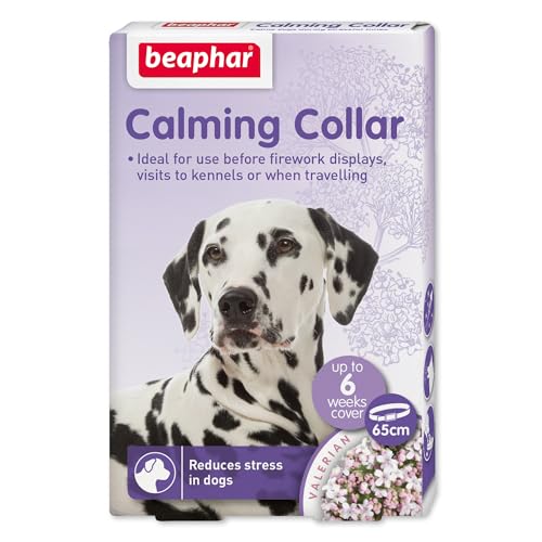 Beaphar - Kräuterhalsband – für Hunde – für Feuerwerk, Gewitter, Autoreisen und langfristigen Stress – enthält das natürliche Kräuterbaldrian – bis zu 6 Wochen Beruhigung – 1 x verstellbares 65 cm Beaphar - Kräuterhalsband – für Hunde – für Feuerwerk, Gewitter, Autoreisen und langfristigen Stress – enthält das natürliche Kräuterbaldrian – bis zu 6 Wochen Beruhigung – 1 x verstellbares 65 cm von Beaphar