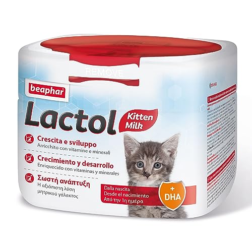 Lactol Kitten Milk Leche en Polvo 250gr Lactol Kitten Milk Leche en Polvo 250gr von beaphar