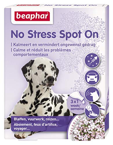 Beaphar 13902 No Stress Spot On Dog 3 Pipetten von beaphar