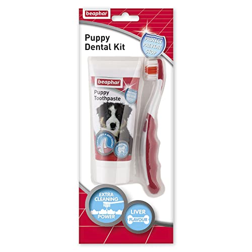 beaphar Puppy DENTAL KIT Paste&Brush 50g von beaphar