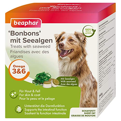 beaphar Seetang Bonbons für Hunde | Hunde-Leckerlies | Hunde Snacks mit Omega 3 6 9 | Zur Unterstützung der Darmflora | Ohne künstliche Zusatzstoffe | 245 g von beaphar