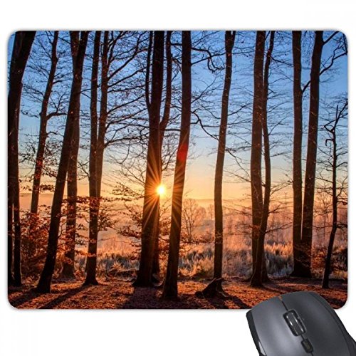 beatChong Dunkelforstwissenschaften Natur-Landschaft Rechteck Griffige Gummi Mousepad Spiel Mauspad Geschenk von beatChong