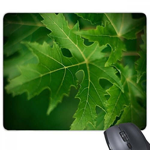 beatChong Frisches Blatt Pflanze Bild Natur Nicht-Rutsch-Gummi Mousepad Spiel Büro Mauspad Geschenk von beatChong