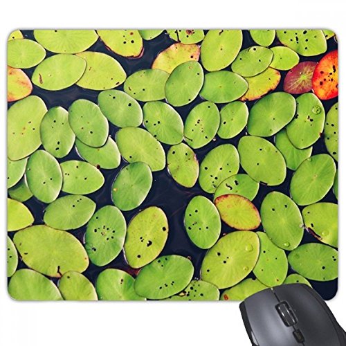 beatChong Frisches Blatt Pflanze Wasser Natur Nicht-Rutsch-Gummi Mousepad Spiel Büro Mauspad Geschenk von beatChong