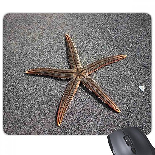 beatChong Graue Wand Seestern Wissenschaft Natur Bild Rechteck Griffige Gummi Mousepad Spiel Mauspad Geschenk von beatChong