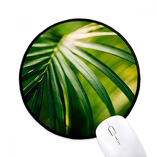 beatChong Grünes Blatt Pflanze Bild Natur Runde Griffige Mousepads Schwarz genähte Kanten Spiel Büro-Geschenk von beatChong