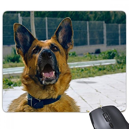 beatChong Gut aussehende Hund Pet Photography Bild Griffige Gummi Mousepad Spiel Büro Mauspad Geschenk von beatChong