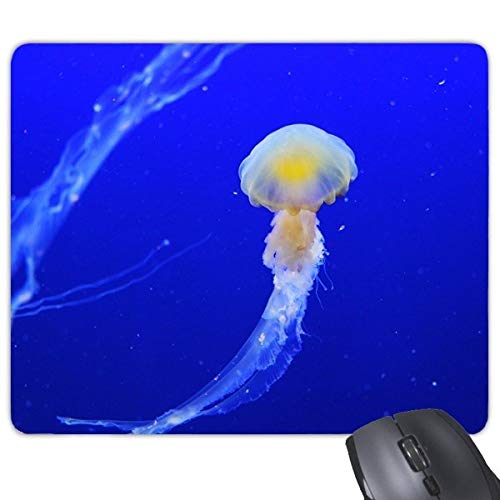 beatChong Ozean-Quallen Wissenschaft Natur Bild Rechteck Griffige Gummi Mousepad Spiel Mauspad Geschenk von beatChong