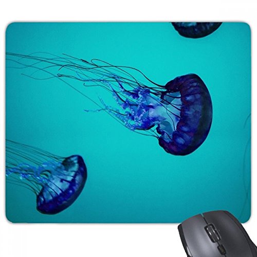 beatChong Ozean-Quallen Wissenschaft Natur Bild Rechteck Griffige Gummi Mousepad Spiel Mauspad Geschenk von DIYthinker