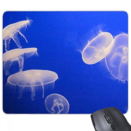 beatChong Ozean-Quallen Wissenschaft Natur Bild Rechteck Griffige Gummi Mousepad Spiel Mauspad Geschenk von beatChong