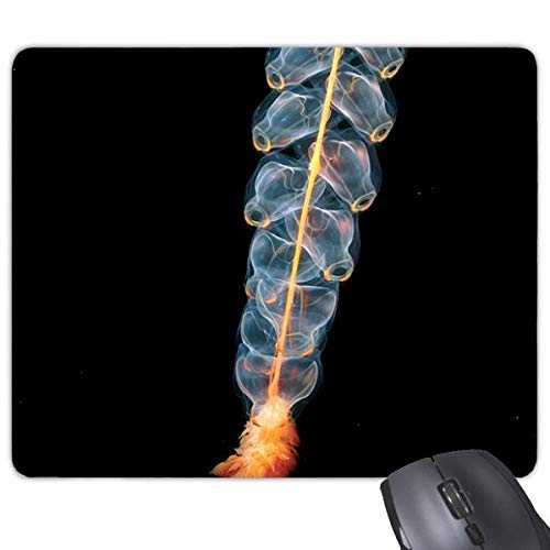 beatChong Ozean-Quallen Wissenschaft Natur Bild Rechteck Griffige Gummi Mousepad Spiel Mauspad Geschenk beatChong Ozean-Quallen Wissenschaft Natur Bild Rechteck Griffige Gummi Mousepad Spiel Mauspad Geschenk von DIYthinker