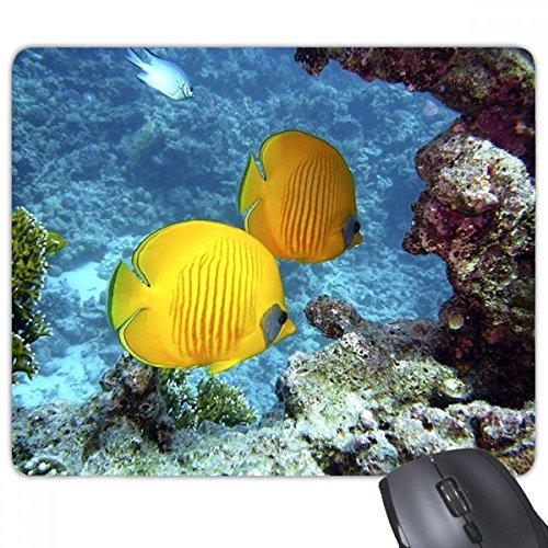 beatChong Ozean-Wasser Fisch Natur Bild Rechteck Griffige Gummi Mousepad Spiel Mauspad Geschenk von beatChong