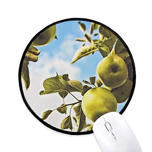 beatChong Peer Frische gemäßigter Obst Bild Runde Griffige Mousepads Schwarz genähte Kanten Spiel Büro-Geschenk von DIYthinker