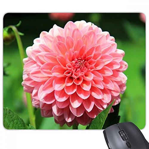 beatChong Pfirsichblüte Schöne Blumen Rectangle Griffige Gummi Mousepad Spiel Mauspad Geschenk von beatChong