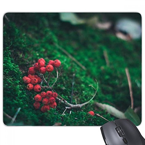 beatChong Rot, Obst, Forstwissenschaften Natur-Landschaft Rechteck Griffige Gummi Mousepad Spiel Mauspad Geschenk beatChong Rot, Obst, Forstwissenschaften Natur-Landschaft Rechteck Griffige Gummi Mousepad Spiel Mauspad Geschenk von beatChong