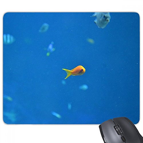 beatChong Seefisch Wissenschaft Natur Bild Rechteck Griffige Gummi Mousepad Spiel Mauspad Geschenk von beatChong