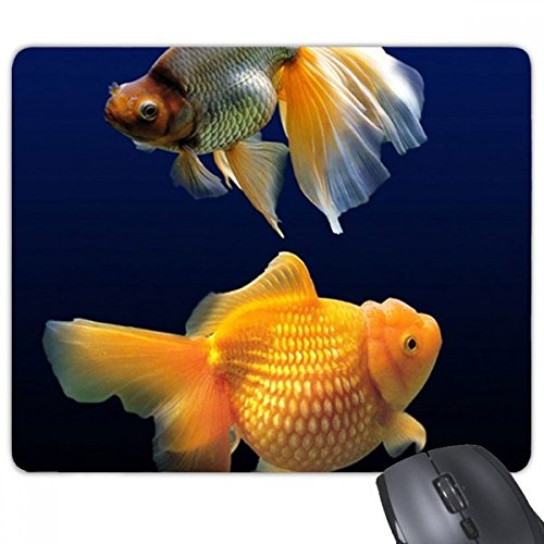 beatChong Seefisch Wissenschaft Natur Bild Rechteck Griffige Gummi Mousepad Spiel Mauspad Geschenk von beatChong