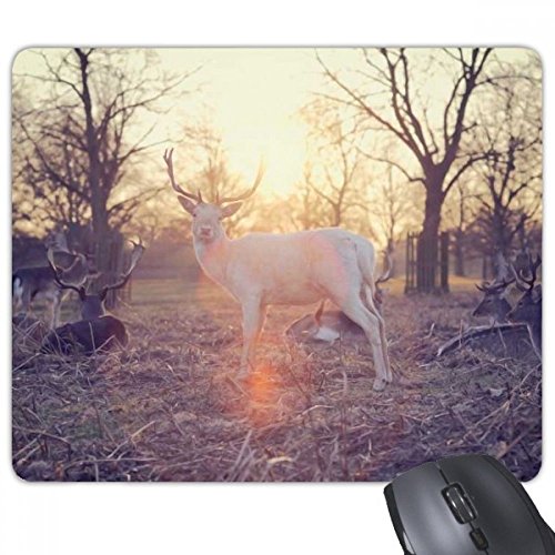 beatChong Sheep Forstwissenschaften Natur Rechteck Griffige Gummi Mousepad Spiel Mauspad Geschenk von beatChong