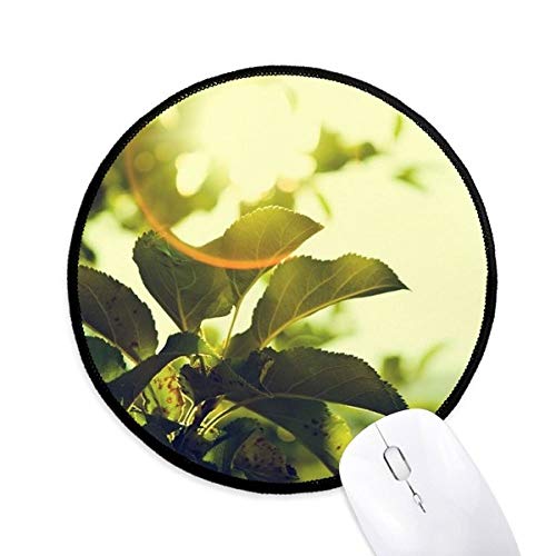 beatChong Sonnenschein Blätter Pflanze Bild Natur Runde Griffige Mousepads Schwarz genähte Kanten Spiel Büro-Geschenk von beatChong