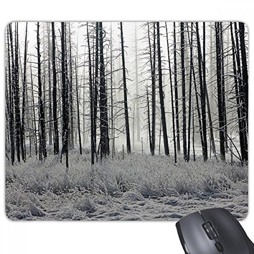 beatChong Wald Winter Schnee Bäume Frost Rechteck Griffige Gummi Mousepad Spiel Mauspad Geschenk von beatChong