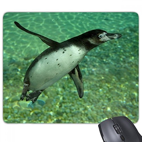 beatChong Wasser Südliche Penguin Science Natur Bild Rechteck Griffige Gummi Mousepad Spiel Mauspad Geschenk beatChong Wasser Südliche Penguin Science Natur Bild Rechteck Griffige Gummi Mousepad Spiel Mauspad Geschenk von DIYthinker