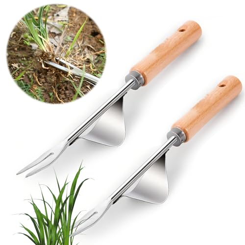 behone 2 Stück Edelstahl Unkrautstecher mit Naturholzgriff, Garten Manueller Weeder Wurzeljäter Hand Weeder Jäter Werkzeug Unkrautjäter Wurzeljäter mit Naturholzgriff zum Jäten Ihres Gartens von behone