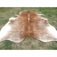 Brindle Caramel Braun Große Neuer Rindsleder Teppich Naturhaare Auf - 6x6 Ft Größe Ca. Tri-Color Braun Töne Weiche Haare Kuhfell R-R C Brindle Caramel Braun Große Neuer Rindsleder Teppich Naturhaare Auf - 6x6 Ft Größe Ca. Tri-Color Braun Töne Weiche Haare Kuhfell R-R C von bellamirella