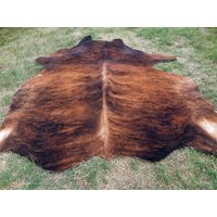 Brindle Rotbraun Große Neuer Rindsleder Teppich Naturhaare Auf - 6x6 Ft Größe Ca. Tri-Color Braun Töne Weiche Haare Kuhfell R-R S von bellamirella