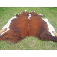 Hereford Rotbraun Große Neuer Rindsleder Teppich Naturhaare Auf - 6x6 Ft Größe Ca. Tricolor Braun Töne Weiche Haare Kuhfell W-H R von bellamirella