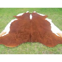 Hereford Rotbraun Große Neuer Rindsleder Teppich Naturhaare Auf - 7x7 Ft Größe Extra Tri-Color Rötlich Töne Weicher Kuhfell 6x6 W-Hr von bellamirella