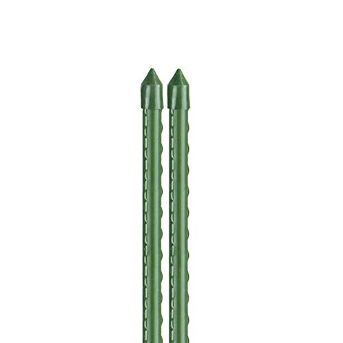 bellissa 25 Stück Hochwertige Pflanz-Stangen - Rank-Stab für Pflanzen – Rankhilfe Kletterhilfe aus Kunststoff grün - 120 cm Ø 11 mm von bellissa