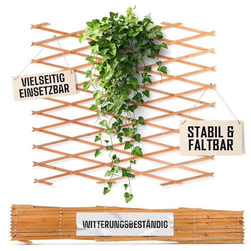 bellissa Scherengitter ausziehbar - Rankgitter Holz-Spalier oder Scherenspalier Rankhilfe im Garten Natur 310 cm x 90 cm von bellissa
