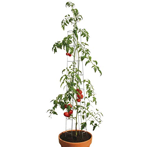 bellissa Tomatenturm - 7503 - Rankhilfe für Tomaten und Gurken - Stütze zum Pflanzen von Gemüse - Durchmesser 13 cm, Höhe 180 cm - 3er Set von bellissa