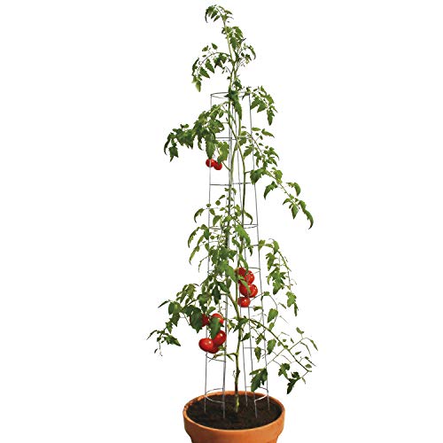 bellissa 90400 – Tomatenturm – Rankhilfe für Tomaten und Gurken – Pflanzenstab Durchmesser 13 cm, Höhe 120 cm – 6er Set von bellissa