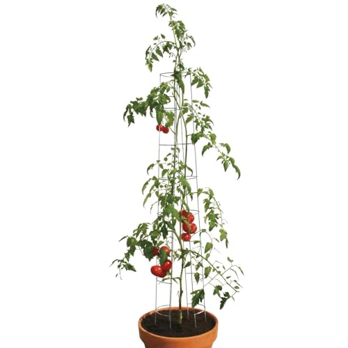 bellissa – Tomaten Rankhilfe aus Stahl 120cm 9er Set verzinkt – Tomatenturm Rankgitter für Tomaten, Gurken etc. – Stabile Pflanzenstütze für Garten, Hochbeet & Töpfe – Wetterfest & wiederverwendbar von bellissa