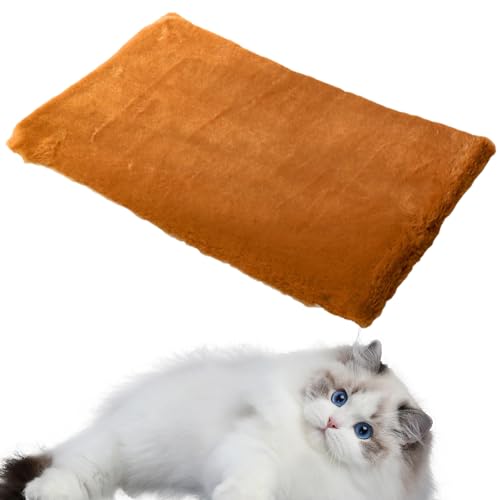 Katzenkratzbrett | 2-in-1 recycelbares Katzenbett - Kratzstrukturen Design Haustierbedarf Wellpappe Katzenkratzer Nachfüllpackung für Indoor Kätzchen Bellv von bellv