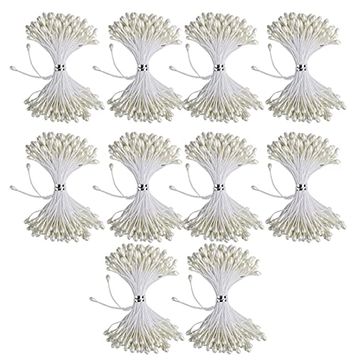 Belupai 900 Stück Künstliche Blumen-Staubblätter, Doppelköpfige Blumen-Staubblätter für DIY Papierblumenherstellung, Sammelalbum, Basteln, Kuchendekoration(3mm (#4)) von belupai