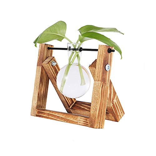 Desktop-Dekorationen, Pflanze Bulb Vase mit Retro-Massivholzständer und Metall rotierenden Rod Holder für Hydrokultur Pflanzen Desktop Glas Pflanzer für Zuhause/Garten/Hochzeit/Dekor, 6.3"x5.5" von belupai