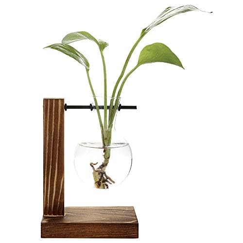 belupai Hydrokultur-Pflanzvase, Retro-Blumentopf, transparente Vase mit Holzrahmen, Tischpflanzglas für Zuhause, Bonsai, Deko, A – 1 Glühbirnenvase, 11.5 x 13.5 cm von belupai