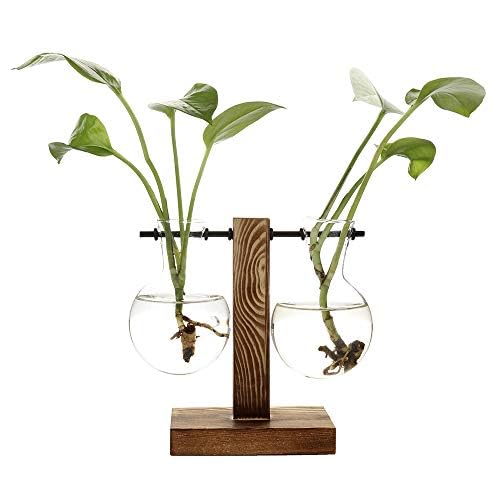 belupai Hydrokultur-Pflanzvase, Retro-Blumentopf, transparente Vase mit Holzrahmen, Tischpflanzglas für Zuhause, Bonsai, Deko, C-Vase mit 2 Lampen, 11.5 x 13.5cm von belupai