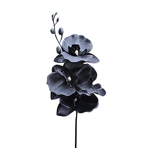 belupai Künstliche Phalaenopsis-Blume, Einzelner Zweig, 15 Künstliche Schwarze Orchideen mit Langem Stiel, Bulk-Kunstseide, Tanzende Dame, Blumenstrauß für Zuhause, Büro, Hochzeit,(Schwarz) von belupai